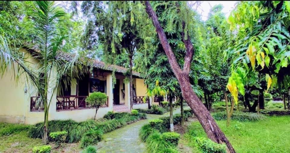 Rhino Lodge Bardia Pvt Ltd Bardiya Eksteriør bilde