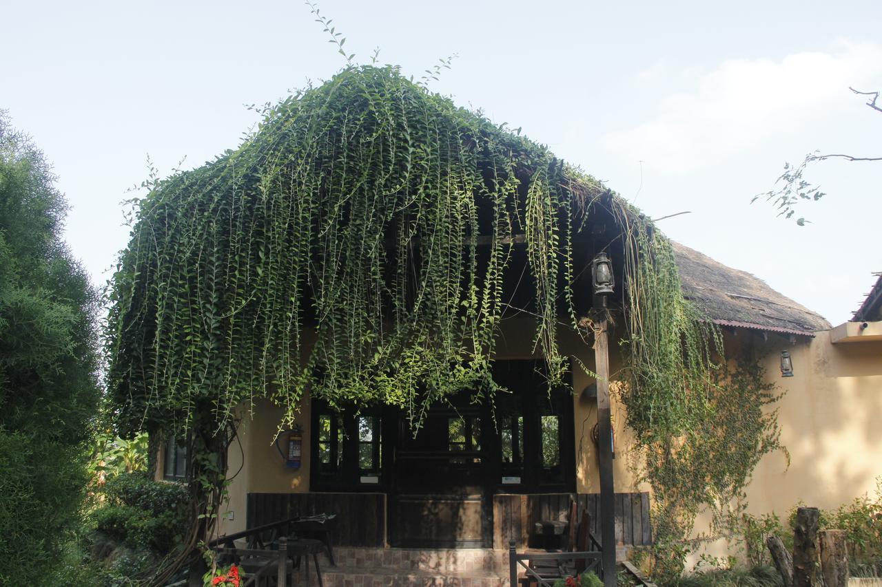 Rhino Lodge Bardia Pvt Ltd Bardiya Eksteriør bilde