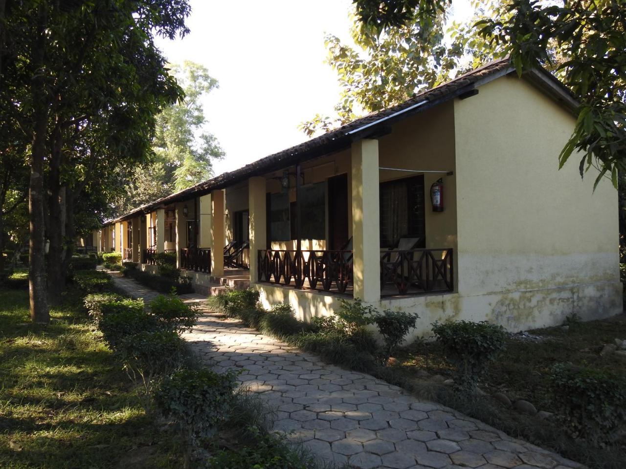 Rhino Lodge Bardia Pvt Ltd Bardiya Eksteriør bilde