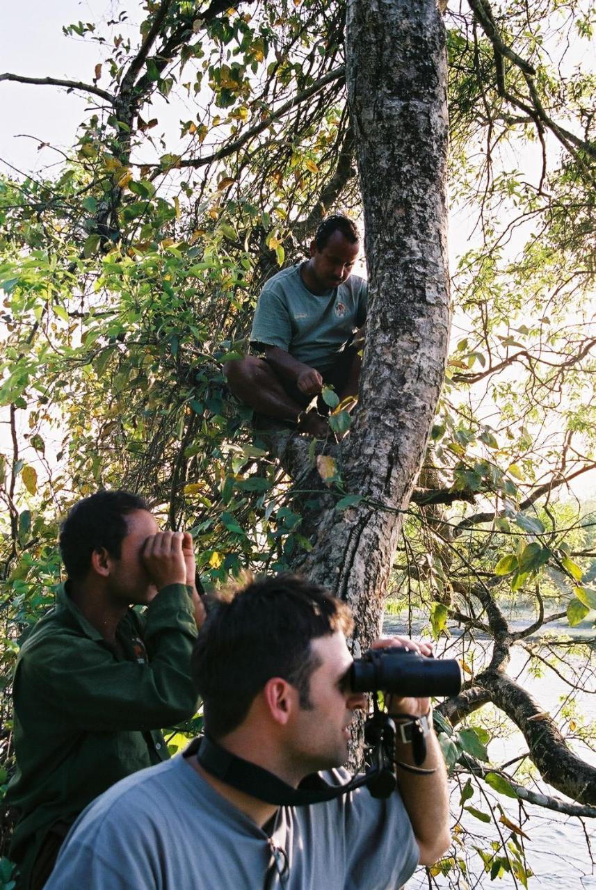 Rhino Lodge Bardia Pvt Ltd Bardiya Eksteriør bilde