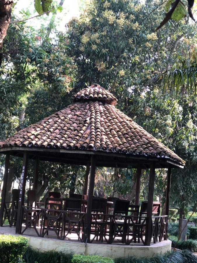 Rhino Lodge Bardia Pvt Ltd Bardiya Eksteriør bilde